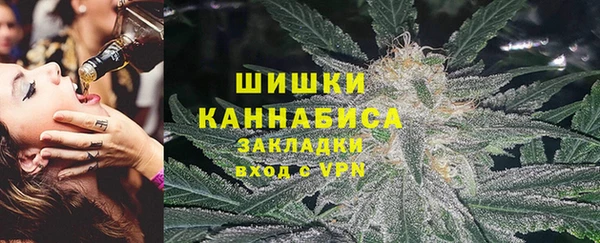 тгк Богородицк
