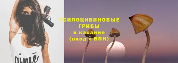 хмурый Богородск