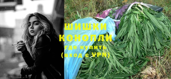 тгк Богородицк