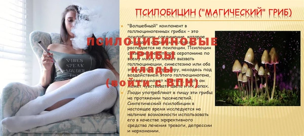 бутик Богданович